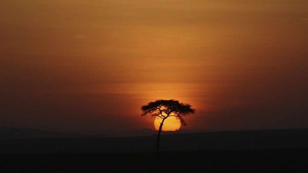 Sundown in Afrika with a treat in the middle in the background